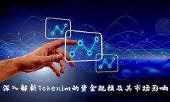 深入解析Tokenim的资金规模