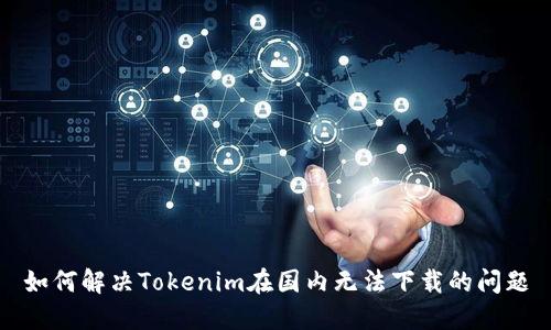 如何解决Tokenim在国内无法下载的问题