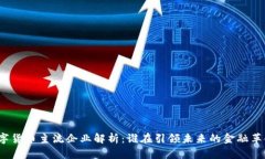 数字货币主流企业解析：