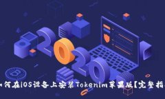 如何在iOS设备上安装Toke