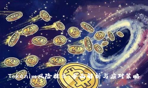 Tokenim风险提示：全面解析与应对策略