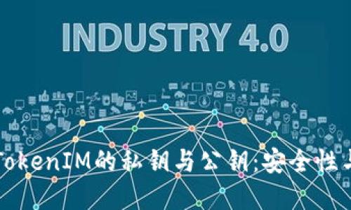深入了解TokenIM的私钥与公钥：安全性与使用指南