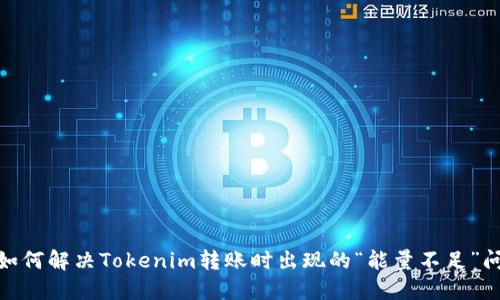 : 如何解决Tokenim转账时出现的“能量不足”问题