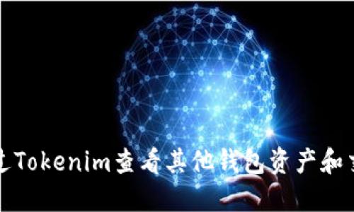 如何通过Tokenim查看其他钱包资产和交易记录