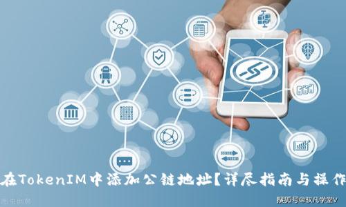如何在TokenIM中添加公链地址？详尽指南与操作步骤
