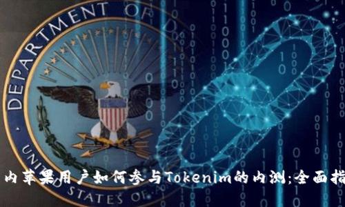 国内苹果用户如何参与Tokenim的内测：全面指南