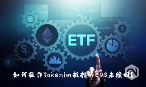 如何操作Tokenim抵押的EOS未赎回？