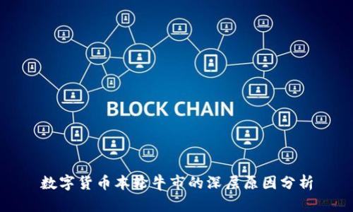 数字货币本轮牛市的深层原因分析