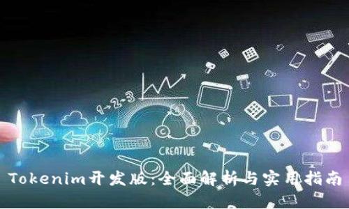 Tokenim开发版：全面解析与实用指南