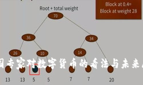 中国专家对数字货币的看法与未来展望