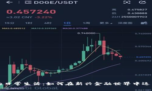 数字货币的日常生活：如何在新兴金融世界中运用数字货币