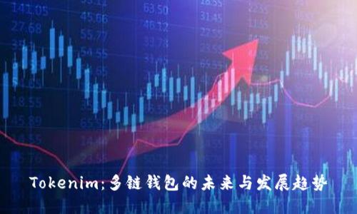 Tokenim：多链钱包的未来与发展趋势