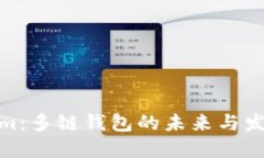 Tokenim：多链钱包的未来与