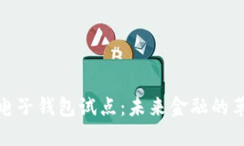 数字货币电子钱包试点：未来金融的革命性发展