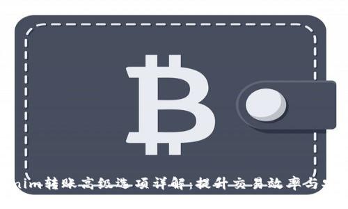 Tokenim转账高级选项详解：提升交易效率与安全性