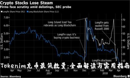 Tokenim充币最低数量：全面解读与实用指南