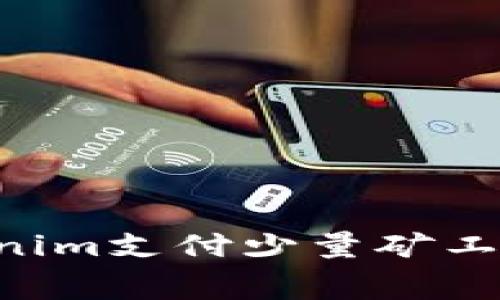 如何用Tokenim支付少量矿工费：实用指南