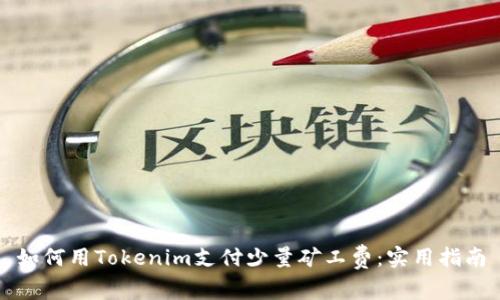 如何用Tokenim支付少量矿工费：实用指南