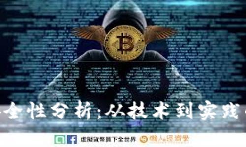 Tokenim安全性分析：从技术到实践的全面解读
