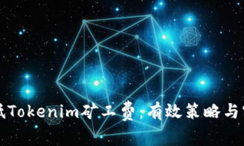 如何降低Tokenim矿工费：有效策略与实用指南