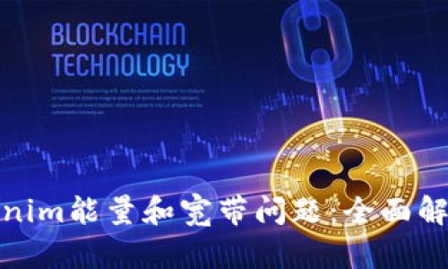 如何解决Tokenim能量和宽带问题：全面解析与实用建议