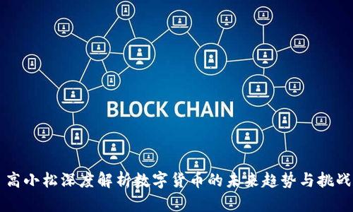 高小松深度解析数字货币的未来趋势与挑战