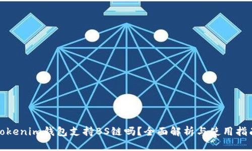 Tokenim钱包支持BS链吗？全面解析与使用指南
