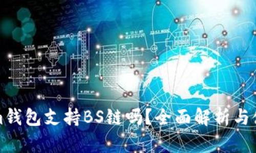 Tokenim钱包支持BS链吗？全面解析与使用指南