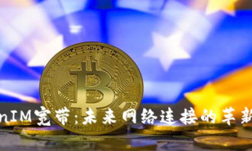TokenIM宽带：未来网络连接的革新之路