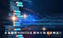 全面解析Tokenim支持的公链