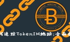 如何追踪TokenIM地址：全面