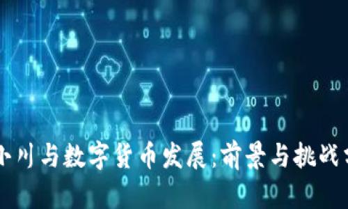 周小川与数字货币发展：前景与挑战分析