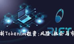 全面解析Tokenim投资：风险