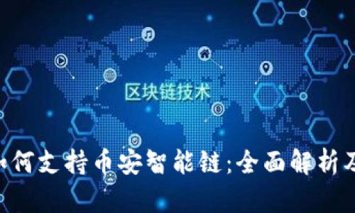 Tokenim如何支持币安智能链：全面解析及应用实例