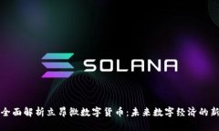 : 全面解析立昂微数字货币