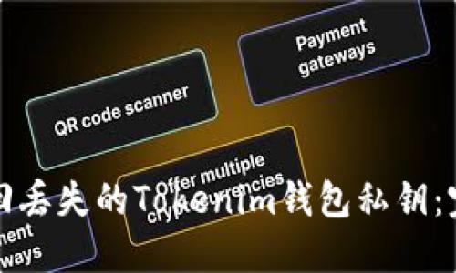 如何找回丢失的Tokenim钱包私钥：完整指南