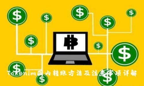Tokenim国内转账方法及注意事项详解