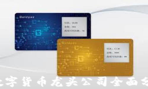 
2023年主板数字货币龙头公司全面分析与前景展望