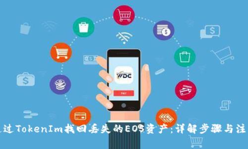 如何通过TokenIm找回丢失的EOS资产：详解步骤与注意事项
