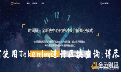 如何使用Tokenim进行区块查询：详尽指南