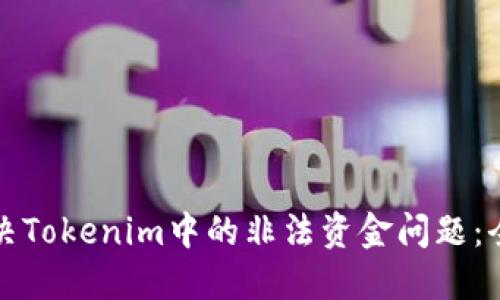 如何解决Tokenim中的非法资金问题：全面指南