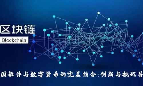 中国软件与数字货币的完美结合：创新与挑战并存