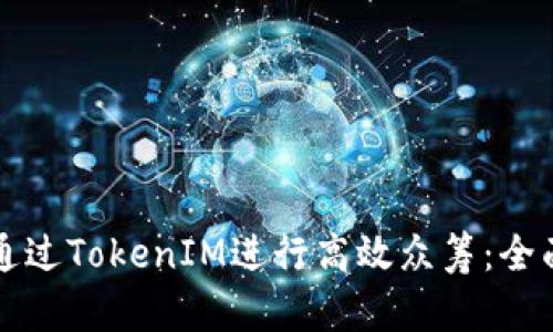 如何通过TokenIM进行高效众筹：全面指南