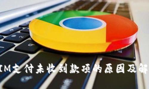 TokenIM支付未收到款项的原因及解决方案