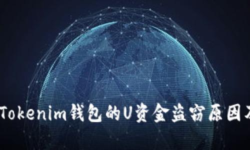 深度解析：Tokenim钱包的U资金盗窃原因及防范措施