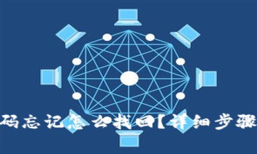 Tokenim密码忘记怎么找回？详细步骤与注意事项