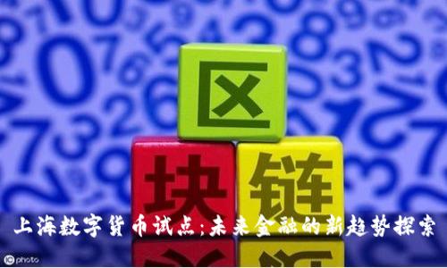 上海数字货币试点：未来金融的新趋势探索