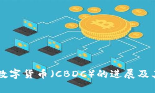 印度央行数字货币（CBDC）的进展及其影响分析