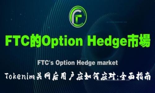Tokenim关网后用户应如何应对：全面指南