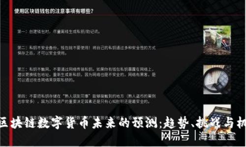 : 区块链数字货币未来的预测：趋势、挑战与机遇